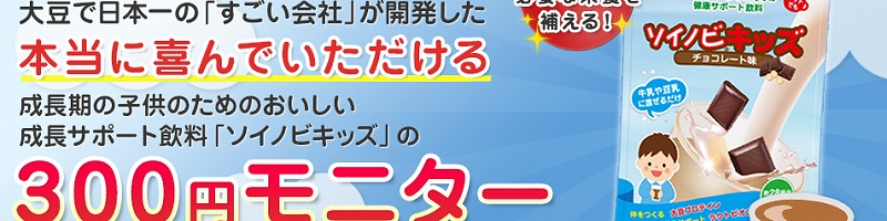 �\�C�m�r�L�b�Y300�~���j�^�[���T�C�g